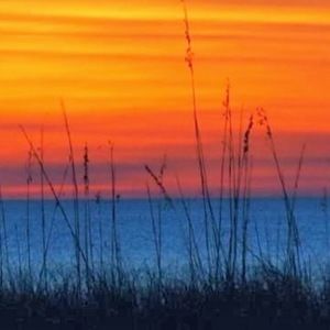 Meet your Posher, Jolene